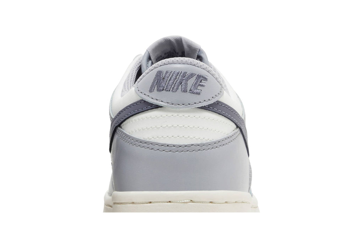 ( Youth ) Nike Dunk Low 'Platinum Tint Light Carbon' FB9109-101