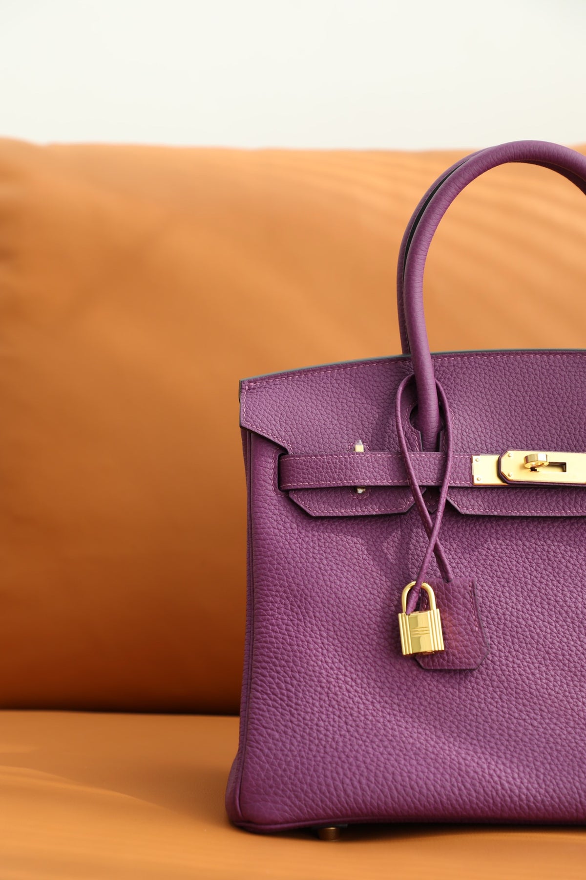 Luxury Purple Leather Handbag with Gold Hardware - Classic Designer Style